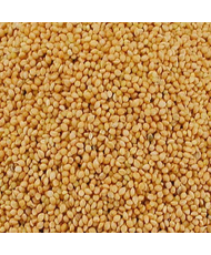 Panis jaune 1kg
