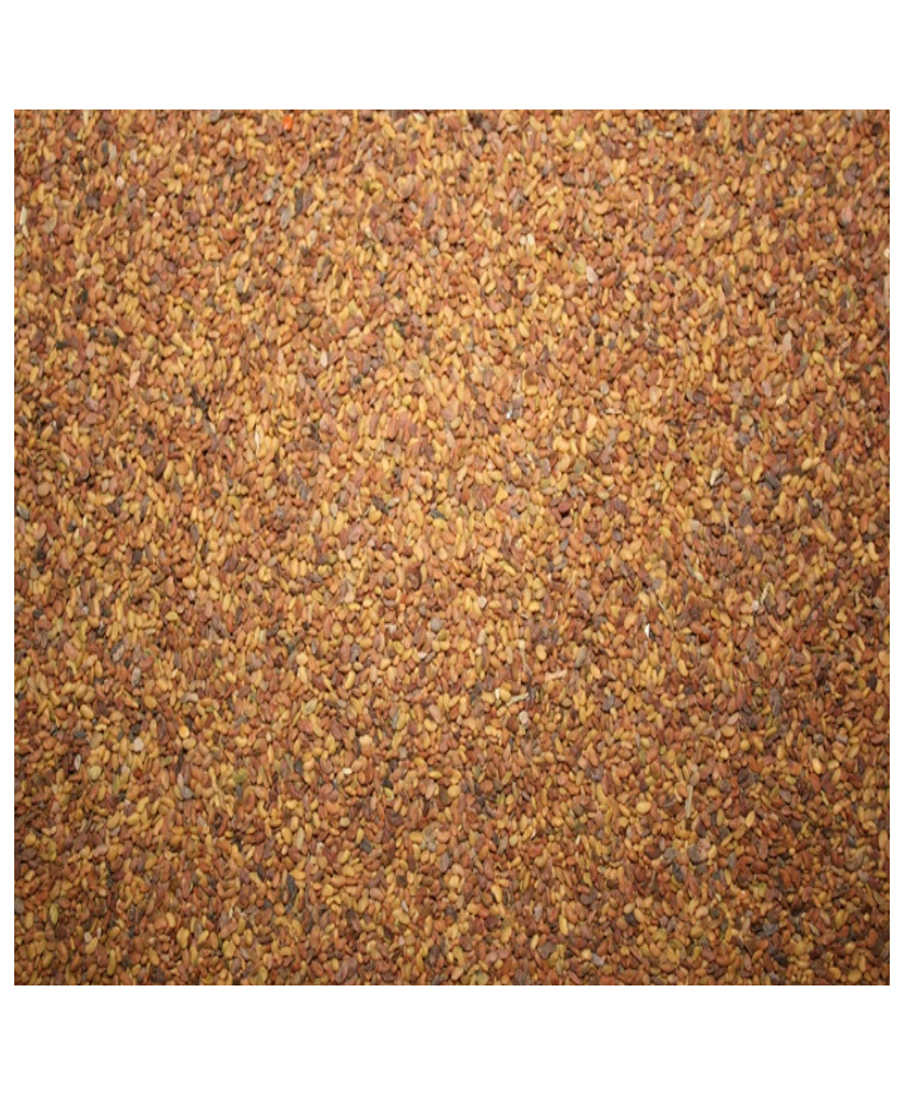 Trèfle 1kg