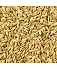 Paddy rijst 1kg