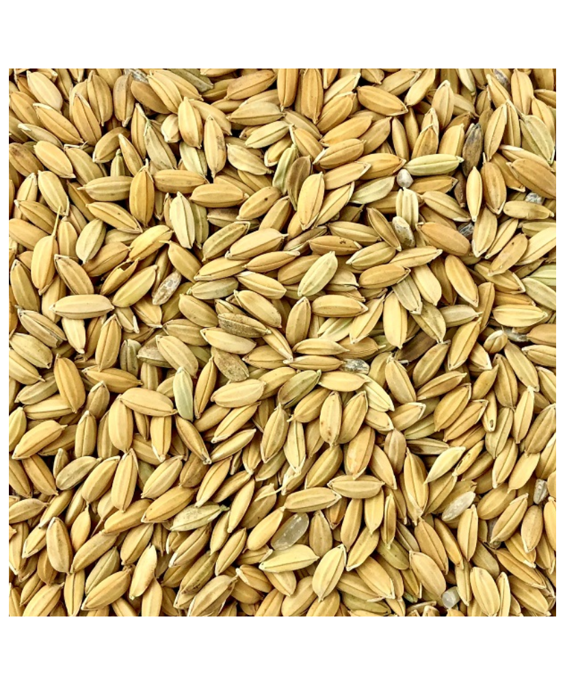 Paddy rijst 1kg