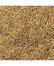 Millet jaune 1kg
