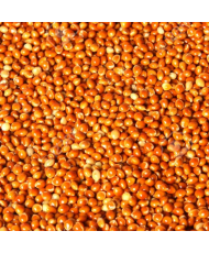 Millet rood 1kg