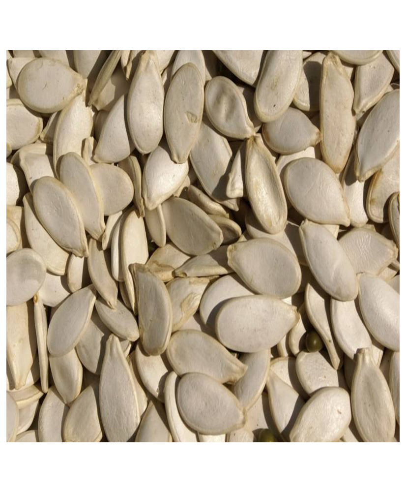 Graines de Citrouille 1kg