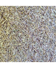 Herbe 500g