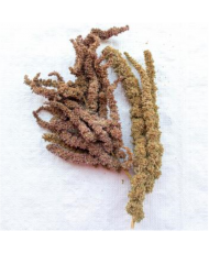Amarant (grasaren) 250g