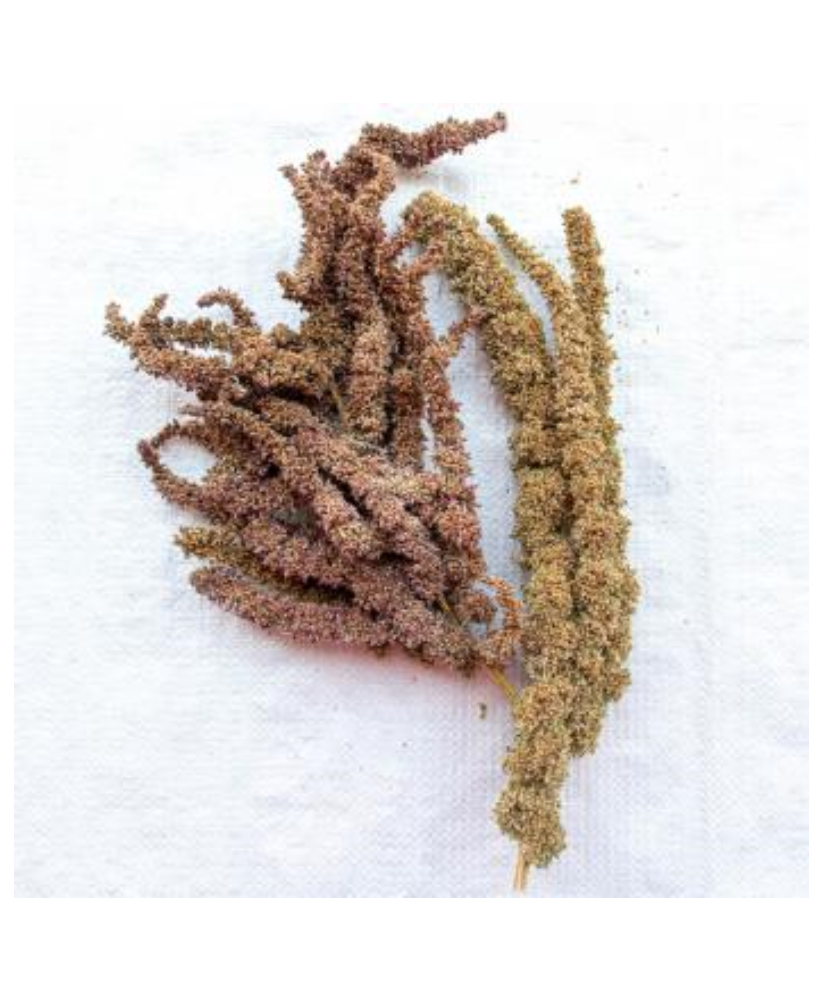 Amarante (en grappes) 250g