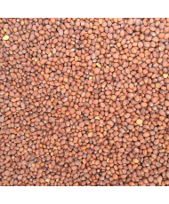 Radijs zaad 1kg