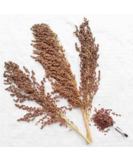 Soedangras (aren) 500g