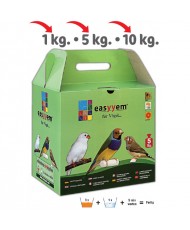 Easyyem Pâtéé aux oeufs...