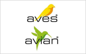 Aves - Avian
