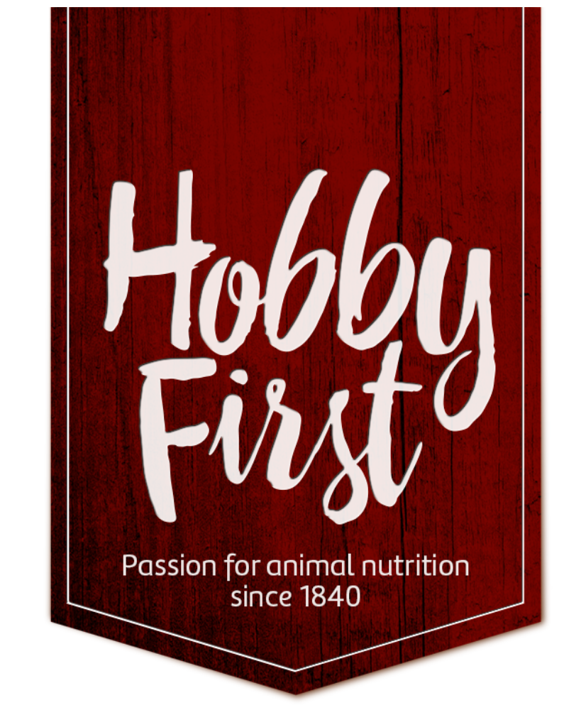 Hobby First