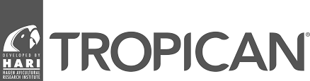Hari Tropican
