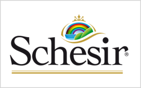 Schesir