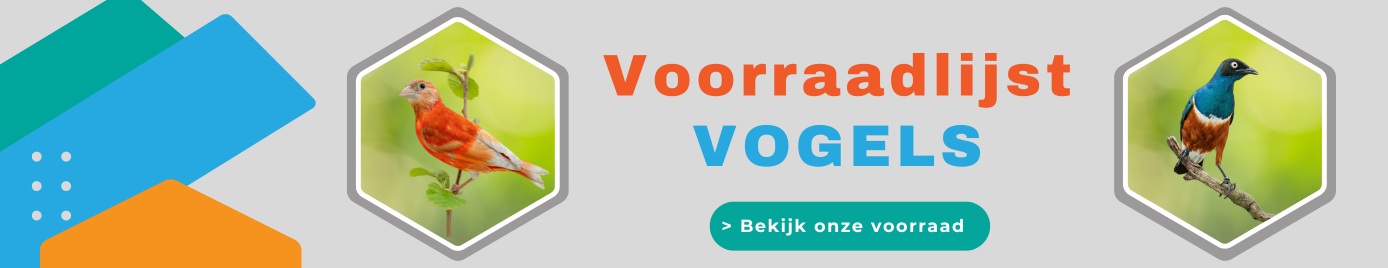 Voorraadlijst vogels